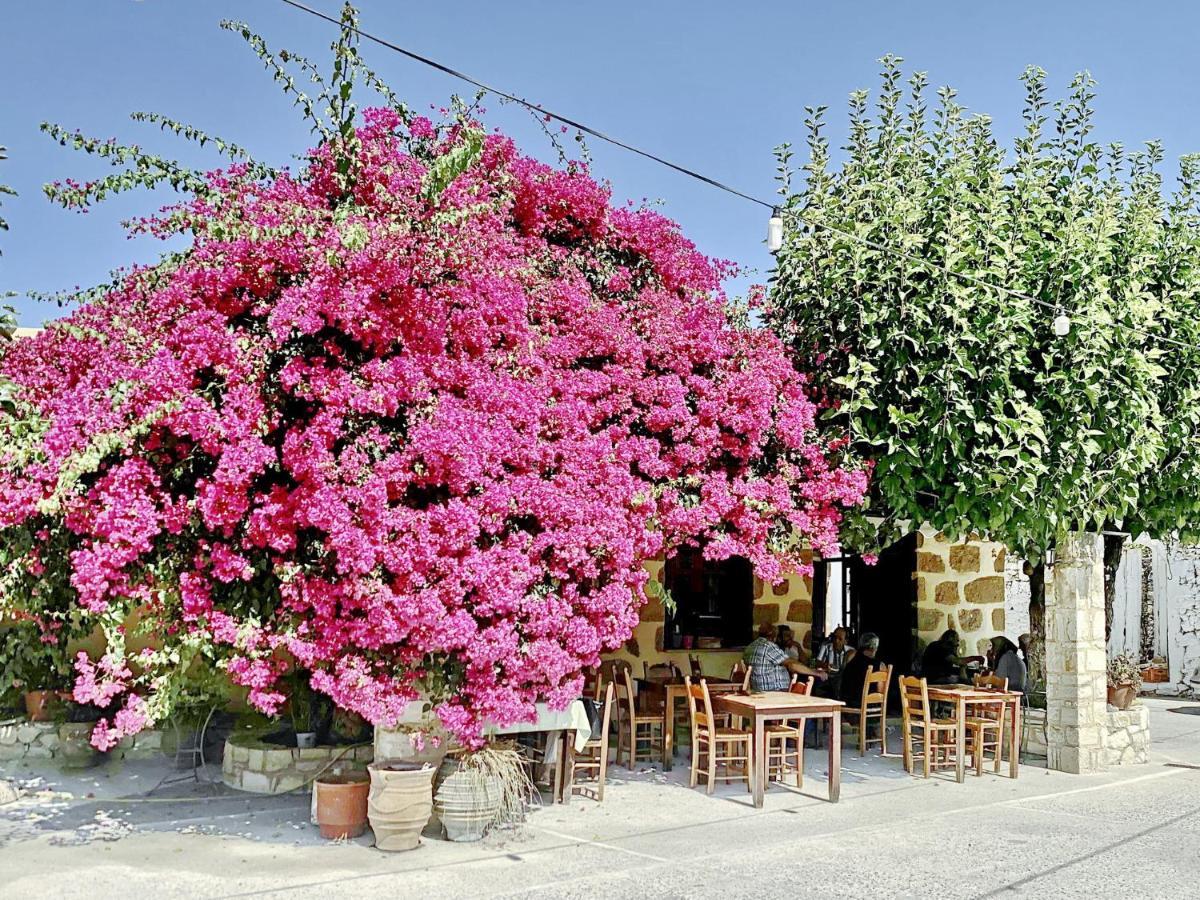 Villa Olivia With Pool Vrises Crete Alikampos Oda fotoğraf